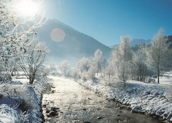 In Near Lifts 木屋 巴特霍夫加施泰因